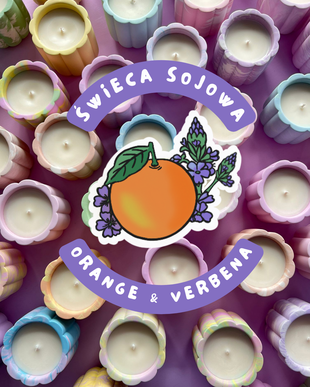 🍊Small Orange Verbena🍊